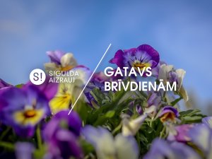 Šonedēļ Siguldas novadā: Veselības diena, Māmiņdienas pasākumi un citi aizraujoši notikumi