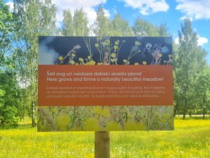 Dabisko pļavu krāšņums ienāk pilsētvidē