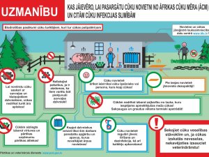Novadā konstatēti Āfrikas cūku mēra gadījumi meža cūkām; aicina ievērot drošības pasākumus