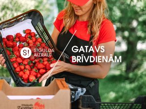 Šonedēļ Siguldas novadā: Mālpils zemeņu svētki, velotrases atklāšana Inciemā un citas norises