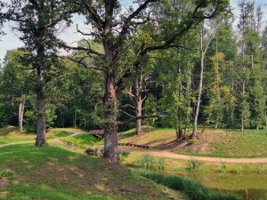 2. septembris – Ozolu diena Turaidas muzejrezervātā