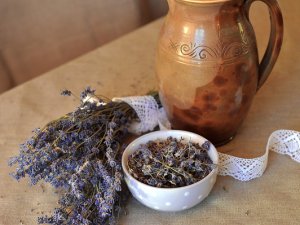 Turpinās biedrības “Kultūra. Vide. Sabiedrība” projekta nodarbības