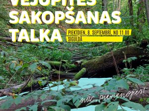 Aicina iesaistīties Vējupītes sakopšanā Siguldā