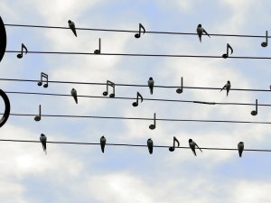 Siguldas pagastā daudzveidīgs amatiermākslas un interešu izglītības piedāvājums