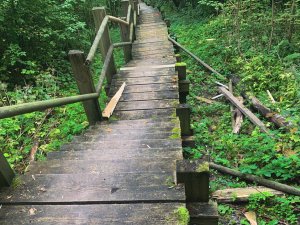 Tīši bojātu trepju dēļ uz laiku slēdz pastaigu taku Gaujas Nacionālajā parkā