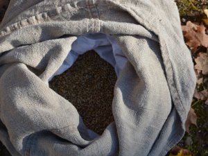 Oktobrī norisināsies Putras diena Lēdurgā