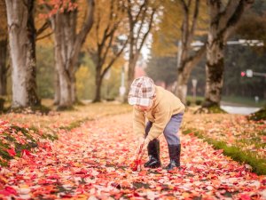 Turpinās sagrābto lapu nodošanas akcija