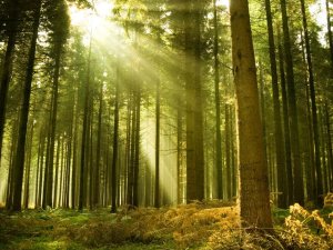 Aicina uz informatīvu semināru par atbalsta saņemšanu