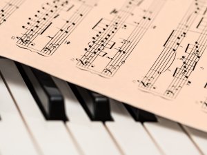 Noteikta vienota maksa par mūzikas instrumentu nomu pašvaldības profesionālās ievirzes izglītības iestādēs