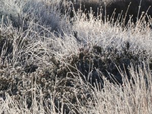 Pieņemti jauni MK noteikumi “Noteikumi par dabas liegumiem” 