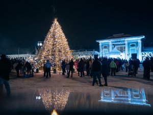 Siguldā krāšņi iemirdzas Ziemassvētku egle