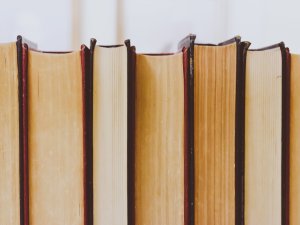 13. decembrī Siguldas novada bibliotēka, Inčukalna un Mālpils bibliotēka būs slēgta