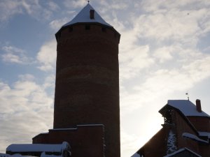 Aicinām bērnus un jauniešus piedalīties logo metu konkursā “Turaidas pilij 810”