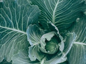 Pašvaldība arī turpmāk nodrošinās bezmaksas ēdināšanu novada skolu un pirmsskolu audzēkņiem