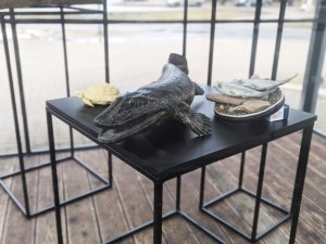 Koprades laboratorijās apskatāma izstāde “Tie mūžīgie mirkļi”