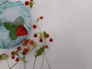 Aicina uz Kristīnes Nuķes-Panteļejevas izstādes “Zemenītes sniegā” atklāšanu