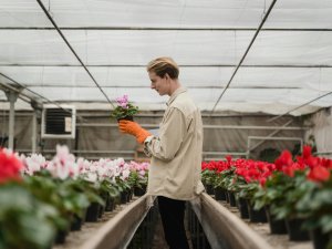 Darba devēji līdz 19. martam var pieteikt darbavietas skolēniem Siguldas novadā