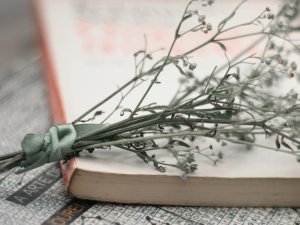 Dzeja atklāj kultūras stratēģijā iekļautos mērķus