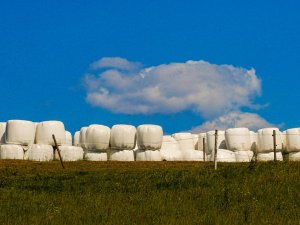 Aicina bez maksas nodot lauksaimniecībā radīto iepakojumu