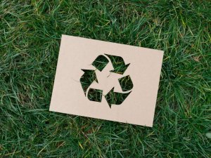 Darbību atsāk “ZAAO” EKO laukums Raganā