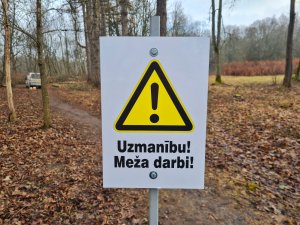 Tautas parka teritorijā notiek bīstamo koku zāģēšana