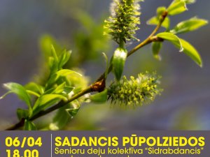Sestdien izskanēs deju kolektīva “Sidrabdancis” koncerts