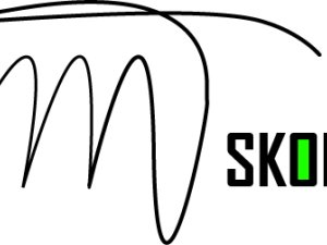 Aicina iesaistīties Mālpils pagasta mūžizglītības projektā 