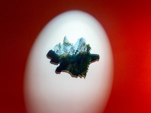 Siguldā atklās Rīgas Fotogrāfijas biennāles izstādi