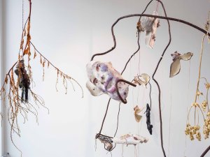 Siguldā atklās Rīgas Fotogrāfijas biennāles izstādi