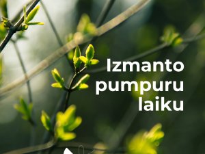 Piedalies pieaugušo mūžizglītības nodarbībās “Izmanto pumpuru laiku”