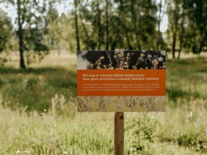 Ziedus no dabiskajām pļavām ir iespēja izmantot svētku laikā