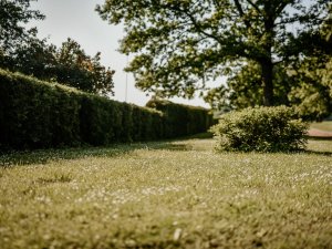 Iedzīvotājus aicina sakopt savus īpašumus un piegulošās teritorijas