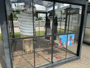 Siguldas koprades laboratorijās apskatāmas mākslu skolu izstādes