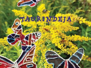 Mālpils Mūzikas un mākslas skolas audzēkņu izstādes vasarā