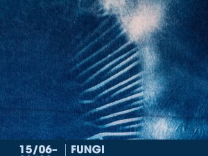 Atklās Šarlotes Baškevicas un Sabīnes Beķeres cianotipiju izstādi “FUNGI”