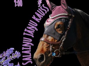 Norisināsies jāšanas sacensības “Salaiņu Jāņu kauss 2024”