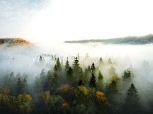 Izsludināts Siguldas novada radošās rezidences konkurss