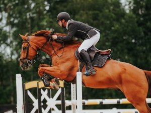 Inčukalnā aizvadītas Vislatvijas Zirgu dienas