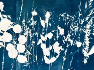 30. jūlijā notiks saules drukas jeb cianotipijas darbnīca izstādē “FUNGI”