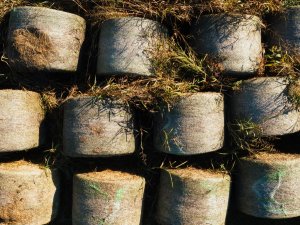 Bez maksas iespējams nodot lauksaimniecībā radīto iepakojumu