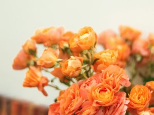 Var pieteikt nominantus konkursam “Gada balva cilvēku ar invaliditāti atbalstam 2024”