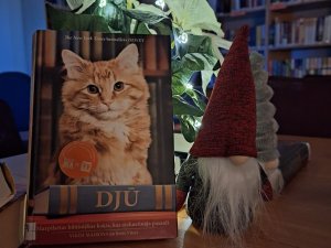 Lasītāju klubs “1000 un viena lapaspuse” septembrī atzīmēs savu pirmo gada dienu