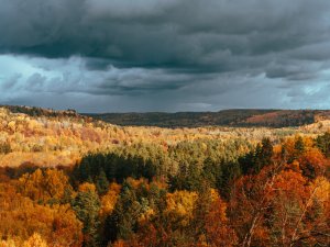 Aicina uz Gaujas Nacionālā parka normatīvo aktu sabiedrisko apspriešanu