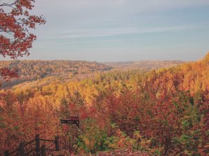Siguldā notiks pirmie Vidzemes Prozas lasījumi