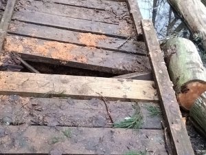 Uz laiku slēdz četrus Gaujas Nacionālā parka pastaigu taku posmus