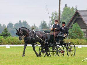 Novadniekiem augsti sasniegumi pajūgu braukšanas sportā
